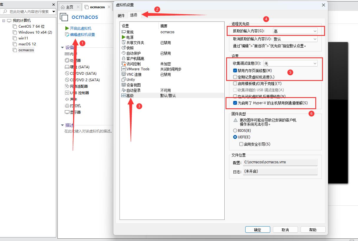 VMware虚拟机选项高级设置